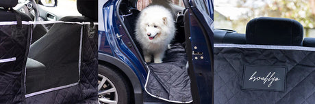 Travel Products for Dogs