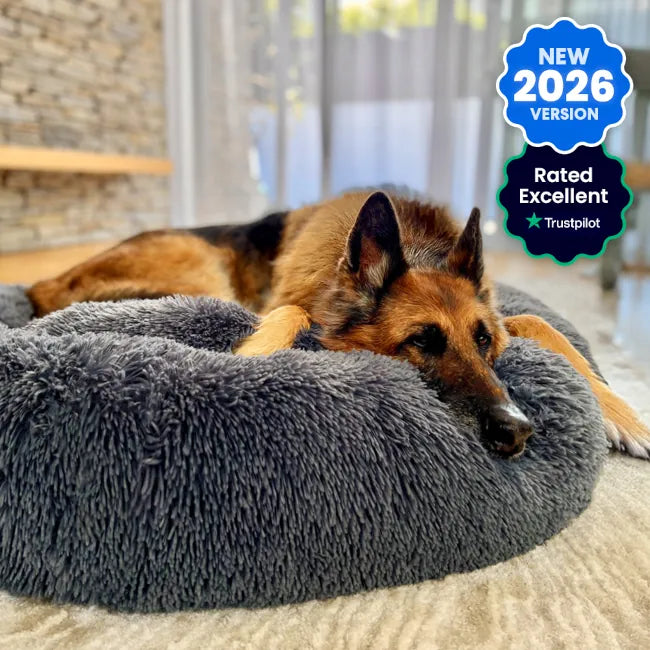 Ultimate Puppy Starter Bundle