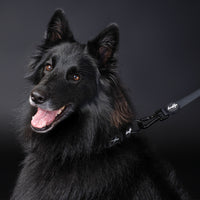 Brooklyn® Ultra Dog Leash