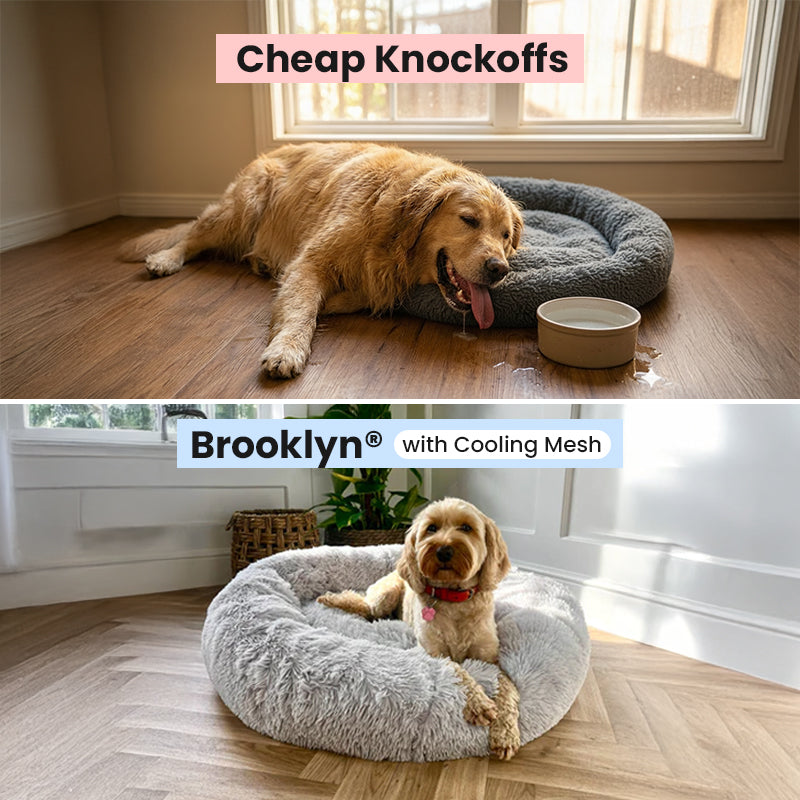 Ultimate Puppy Starter Bundle