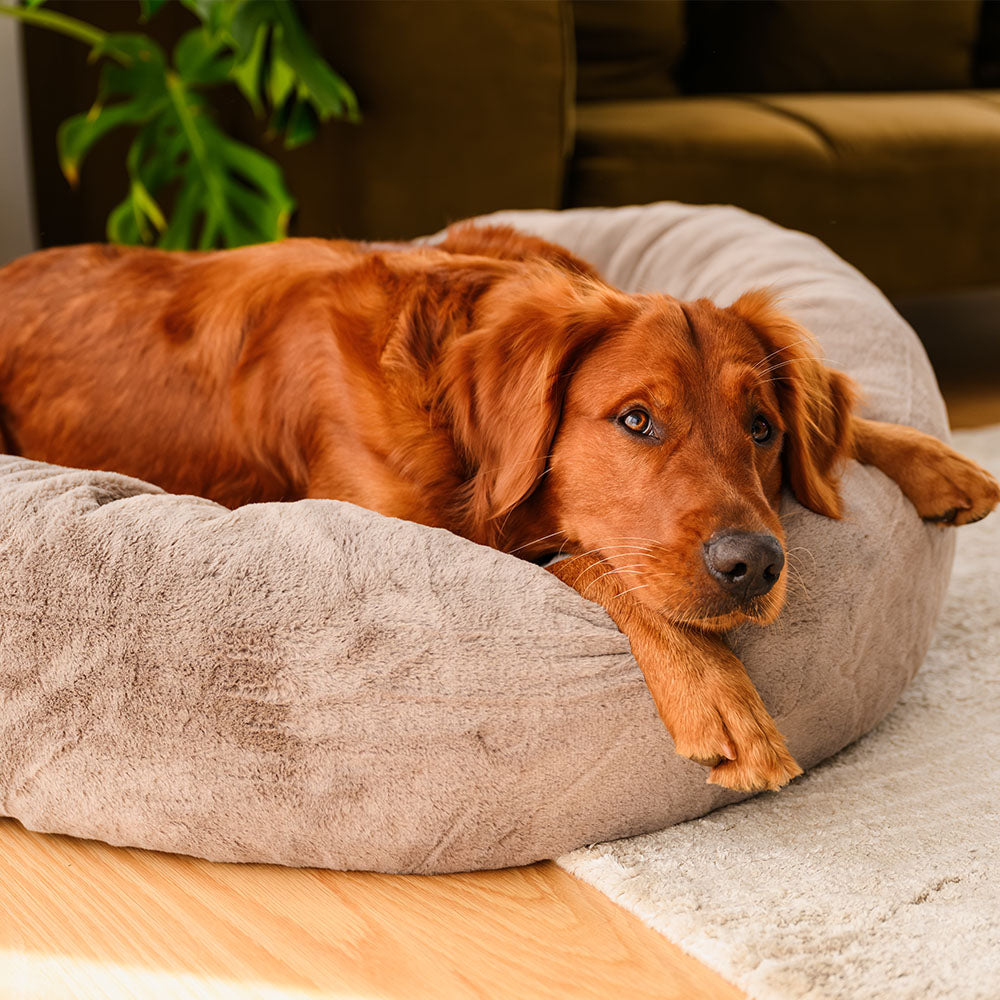 Signature Cover for Brooklyn® Deep Sleep