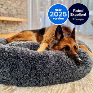 Calming Dog Bed