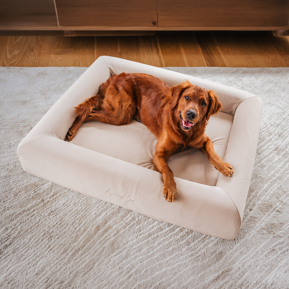 Red Golden Retriever lying on the Sand Ortho Pro orthopaedic dog bed, viewed from above