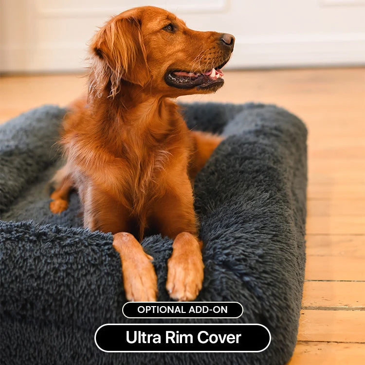 Brooklyn® Ultra Memory Foam Bed