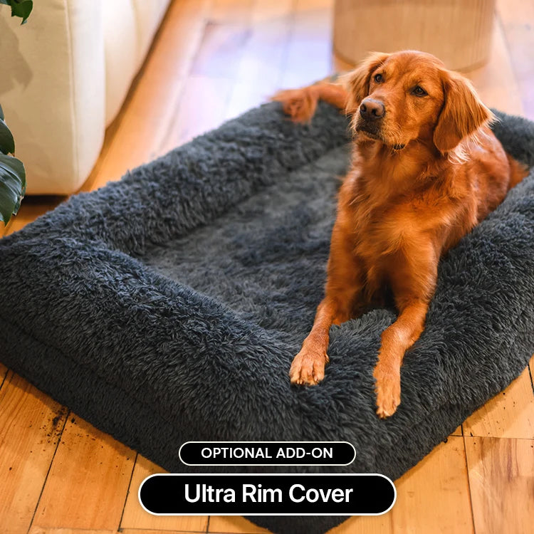 Brooklyn® Ultra Memory Foam Bed