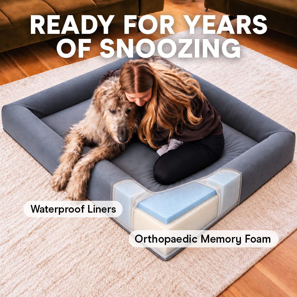 Woman hugging her Irish Wolfhound on the Ortho Pro dog bed, with a cutaway showing the waterproof liner and orthopaedic memory foam
