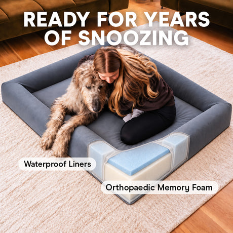 Woman hugging her Irish Wolfhound on the Ortho Pro dog bed, with a cutaway showing the waterproof liner and orthopaedic memory foam