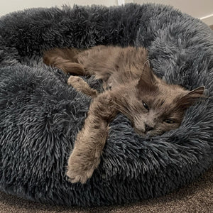 Calming Cat Bed