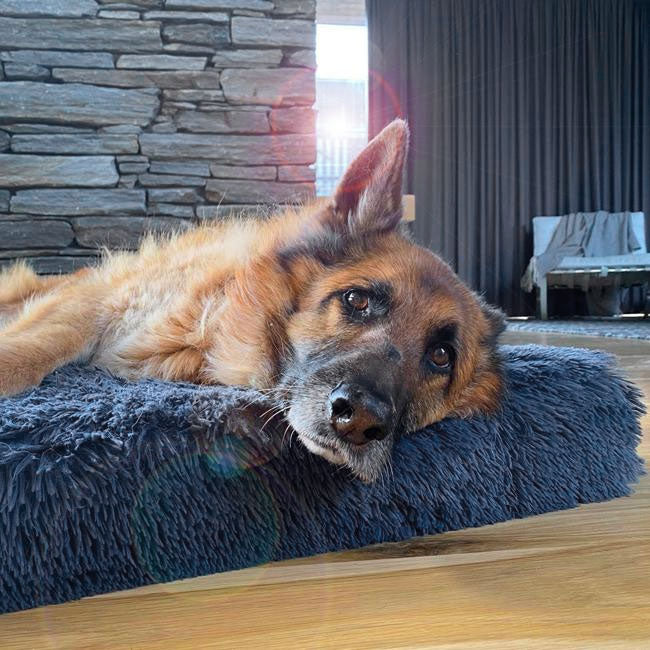 Brooklyn® Memory Foam Bed
