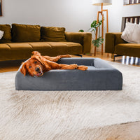 Red Golden Retriever lounging across the Chalk Grey Ortho Pro orthopaedic dog bed with its head resting over the bolster