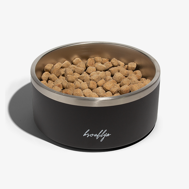 Ultimate Puppy Starter Bundle