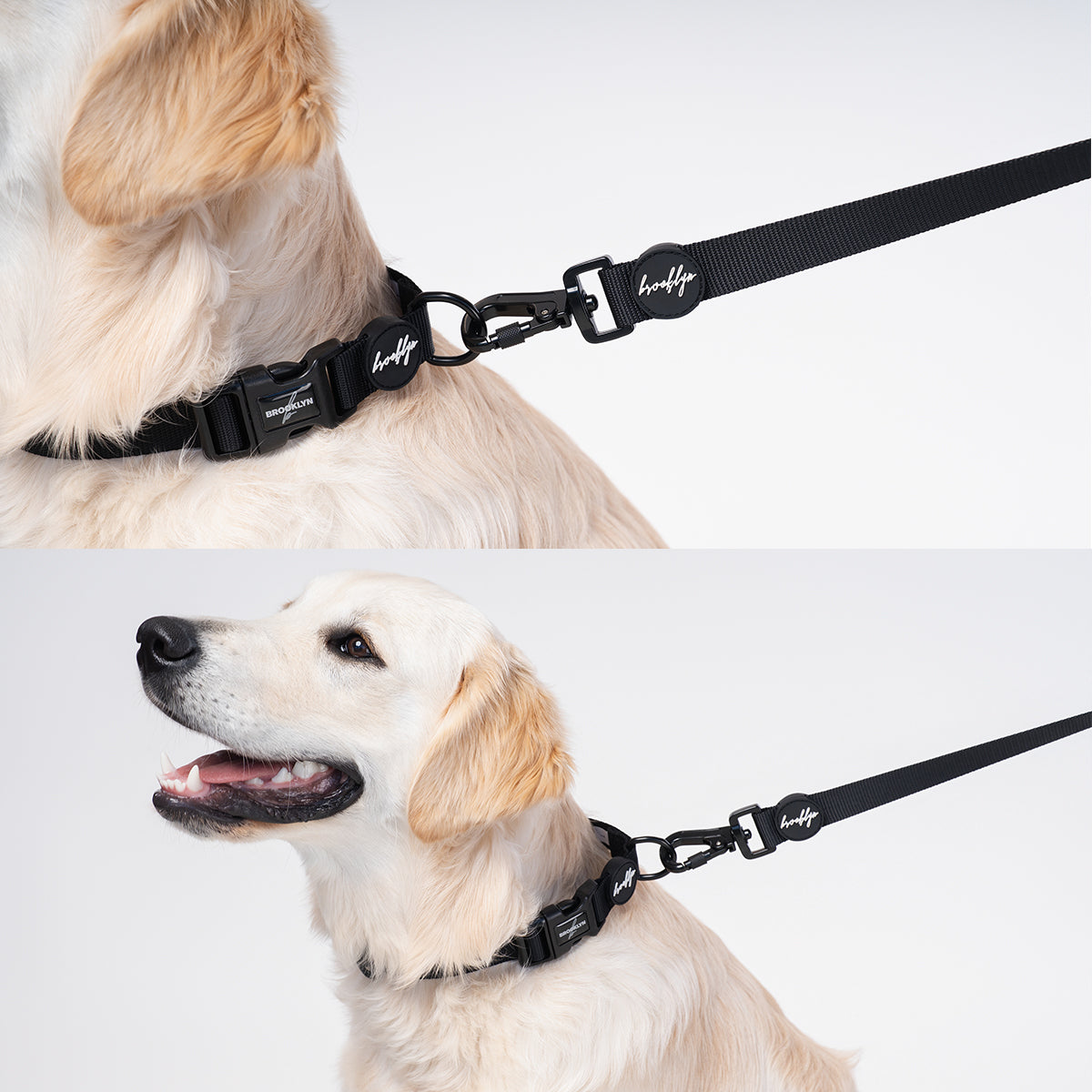 Ultimate Puppy Starter Bundle