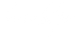 The Brooklyn Pet Store