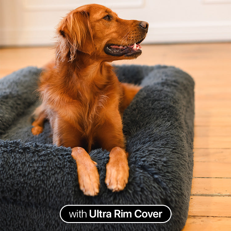 Brooklyn® Ultra Memory Foam Bed