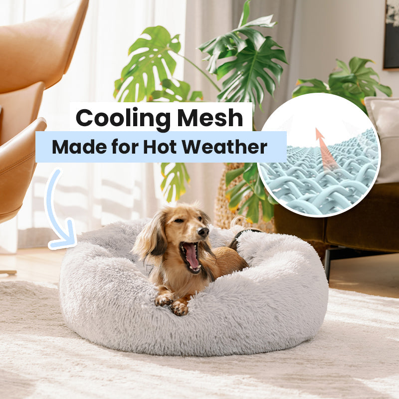 2x Calming Dog Beds + 2x Covers (Save 20%)