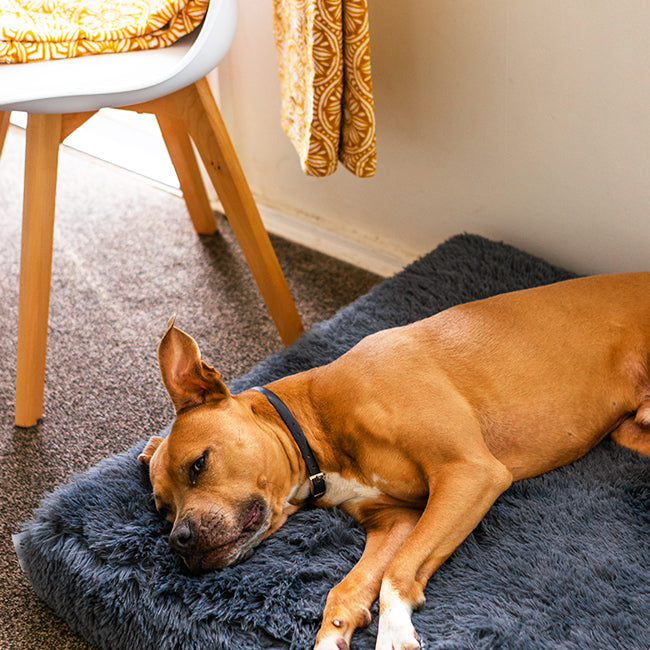 Brooklyn® Ultra Memory Foam Bed