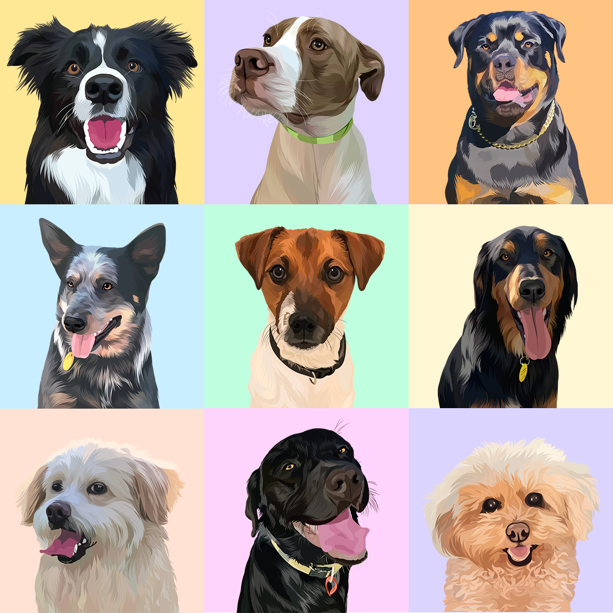 Personalised Pawtrait
